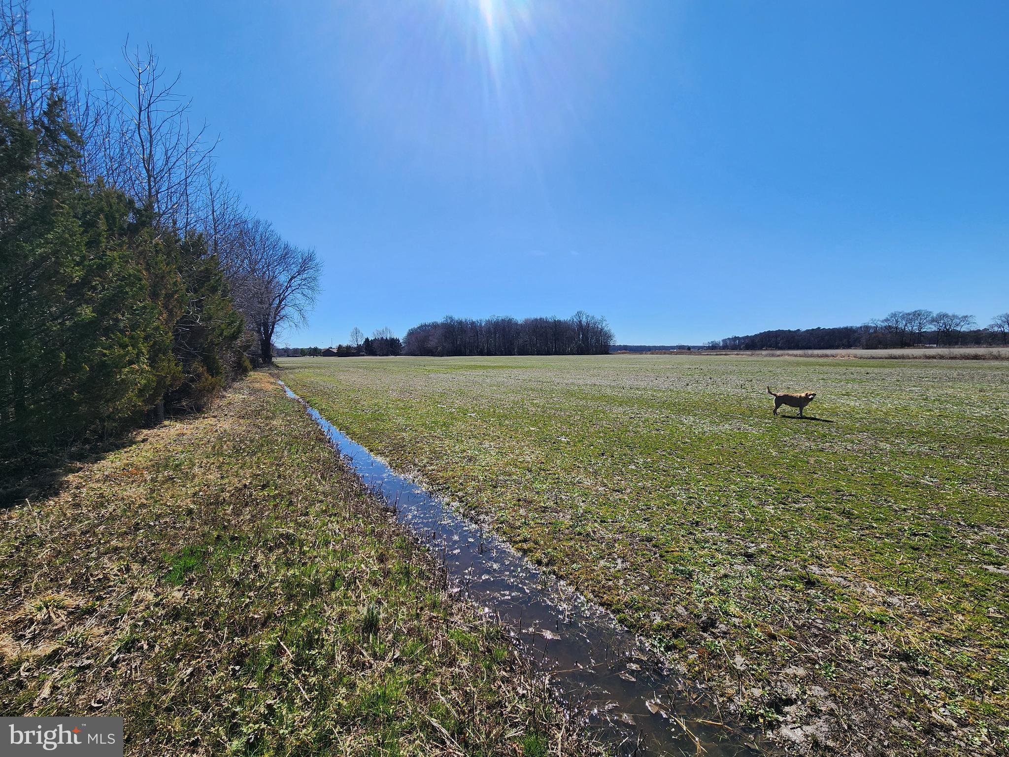 1337 Tower Road Camden Wyoming, DE 19934 - Photo 23 of 41 a view of a field with an ocean