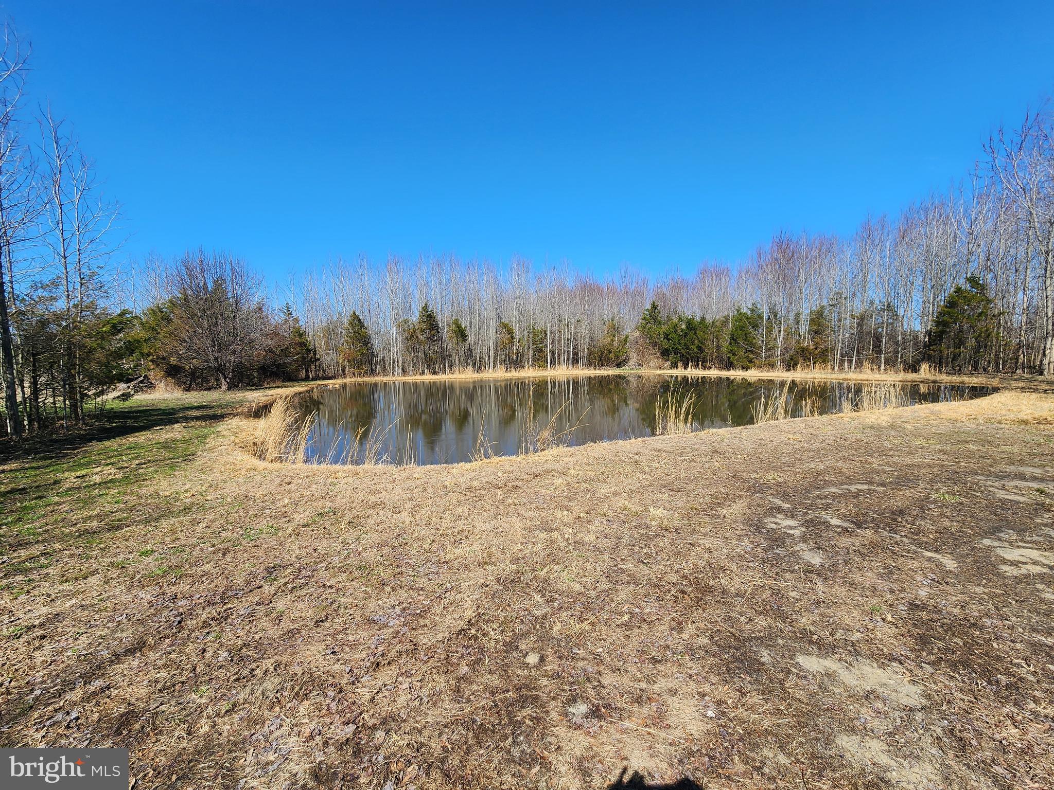 1337 Tower Road Camden Wyoming, DE 19934 - Photo 23 of 47