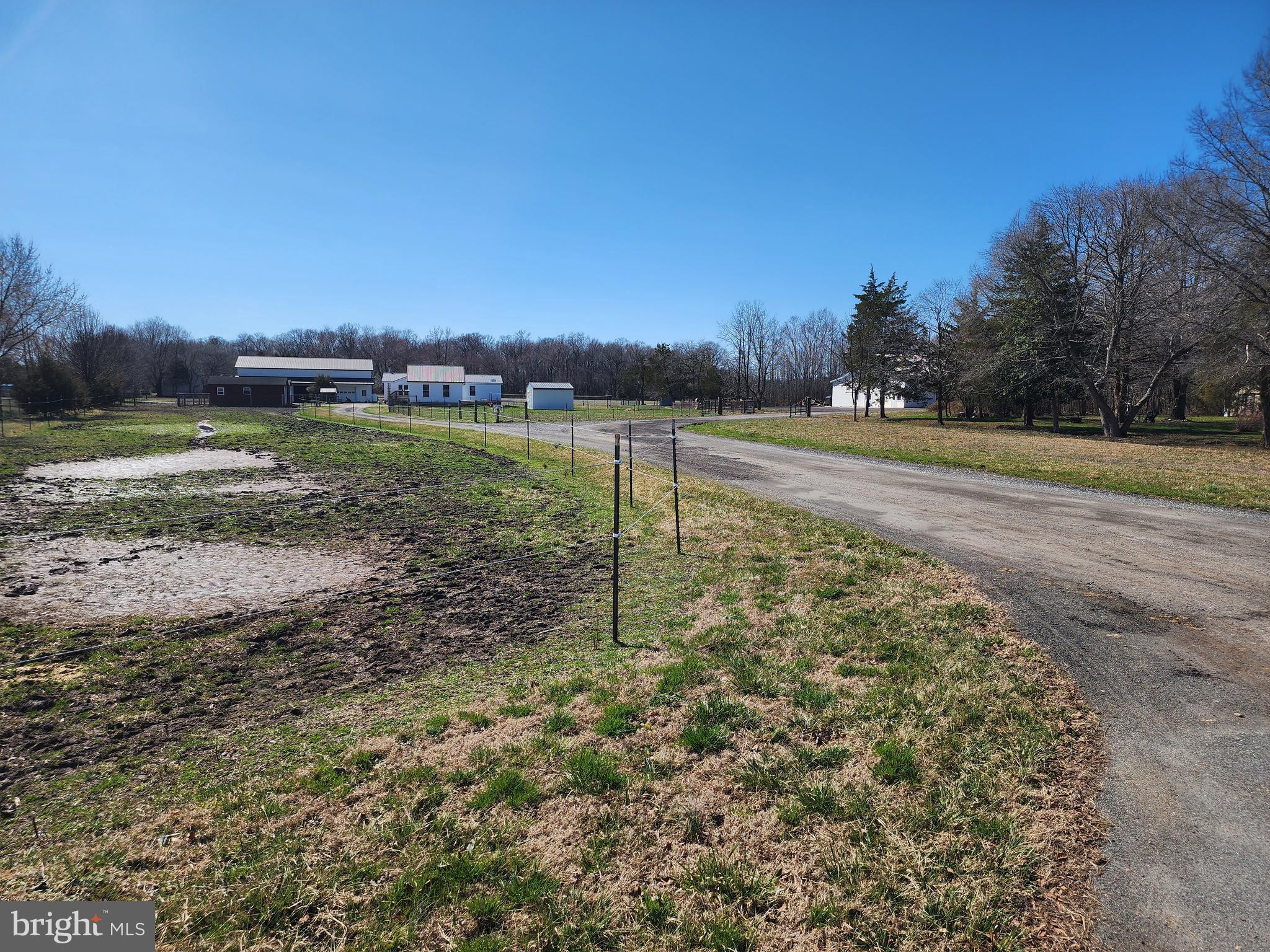1337 Tower Road Camden Wyoming, DE 19934 - Photo 41 of 41 a view of a field with an trees