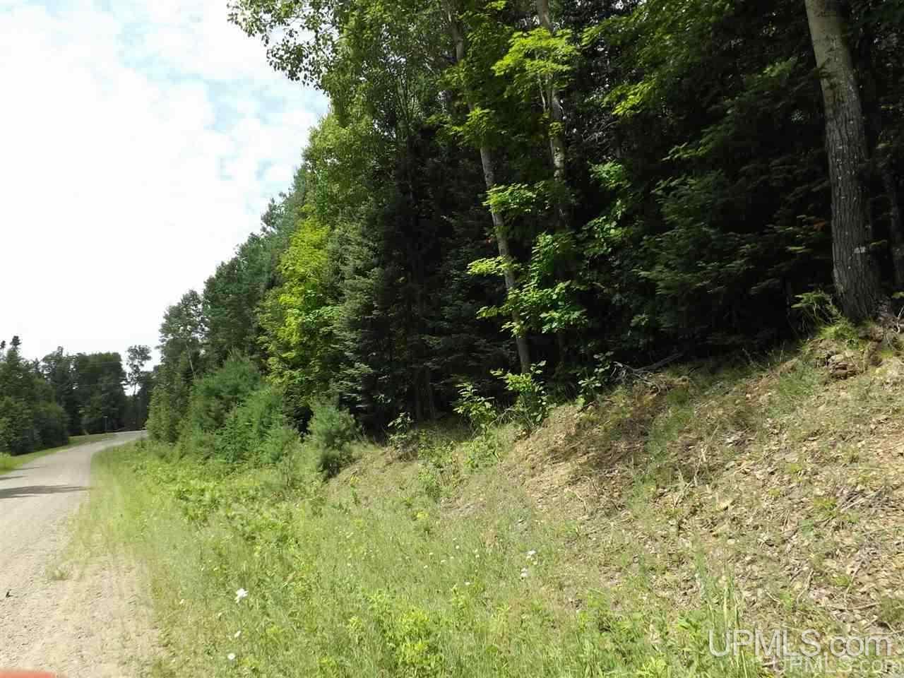Tbd South Olson Lake Road Michigamme, MI 49861 - Photo 20 of 25