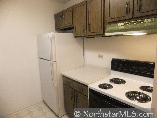 4045 Hodgson Road, Unit 314 Shoreview, MN 55126 - Photo 3 of 10 Gallery Image 3