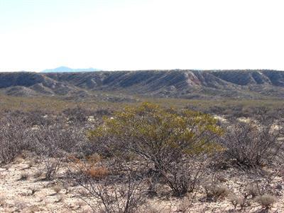 0 North San Pedro Ranch Road Benson, AZ 85602 - Photo 2 of 2 Gallery Image 2