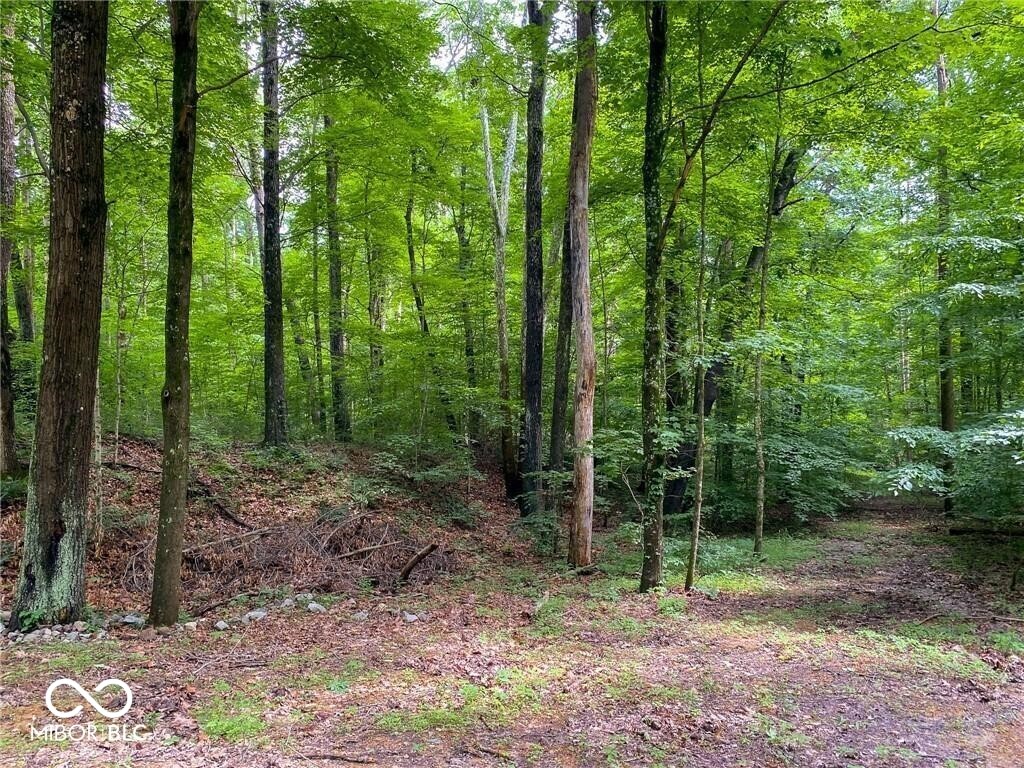 750 West Columbus, IN 47201 - Photo 3 of 20