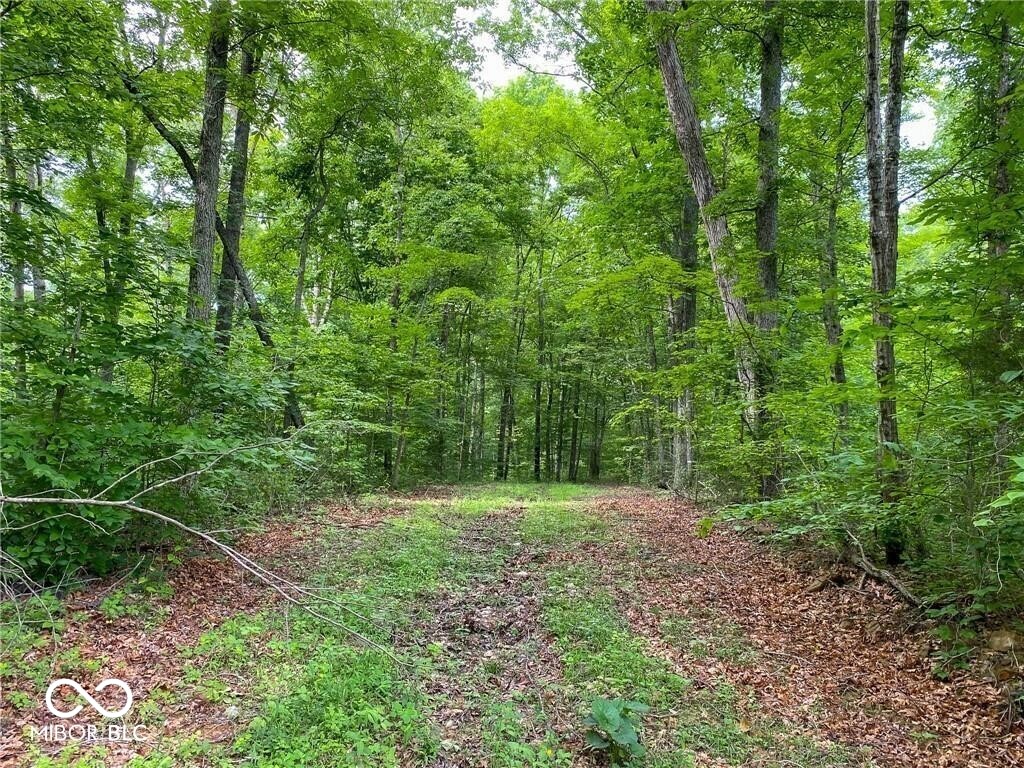 750 West Columbus, IN 47201 - Photo 4 of 20