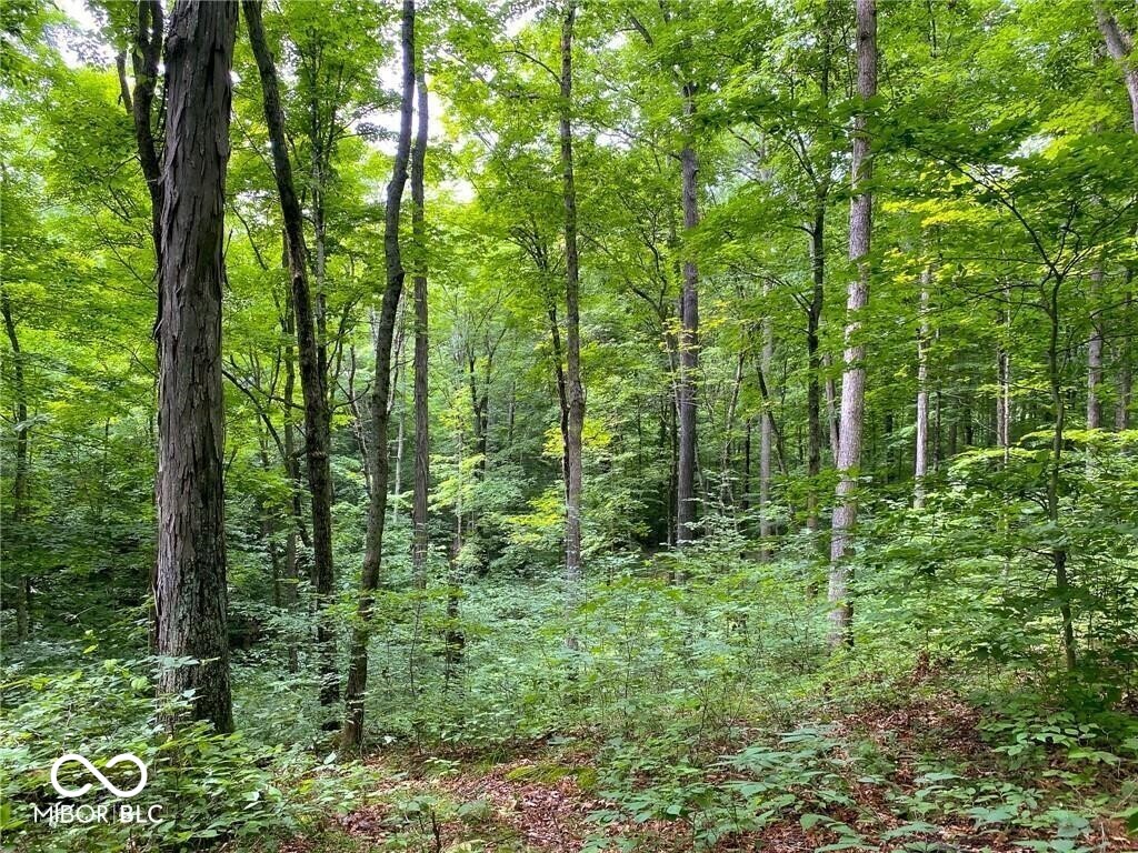 750 West Columbus, IN 47201 - Photo 6 of 20