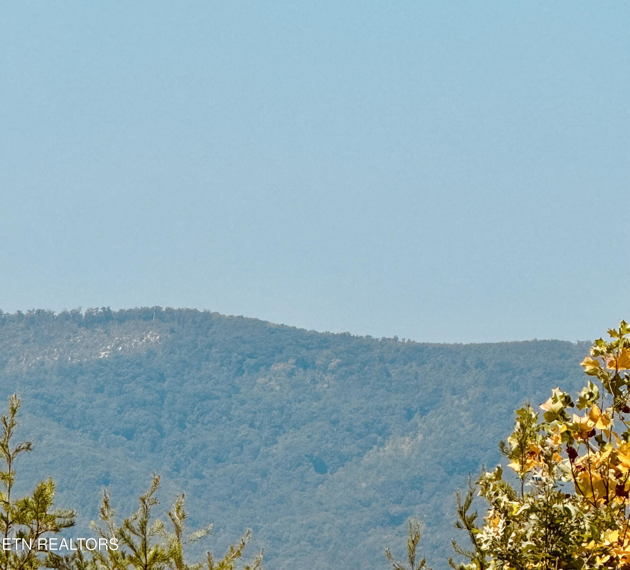 600 Beatys Chapel Road Tellico Plains, TN 37385 - Photo 24 of 24 Gallery Image 24