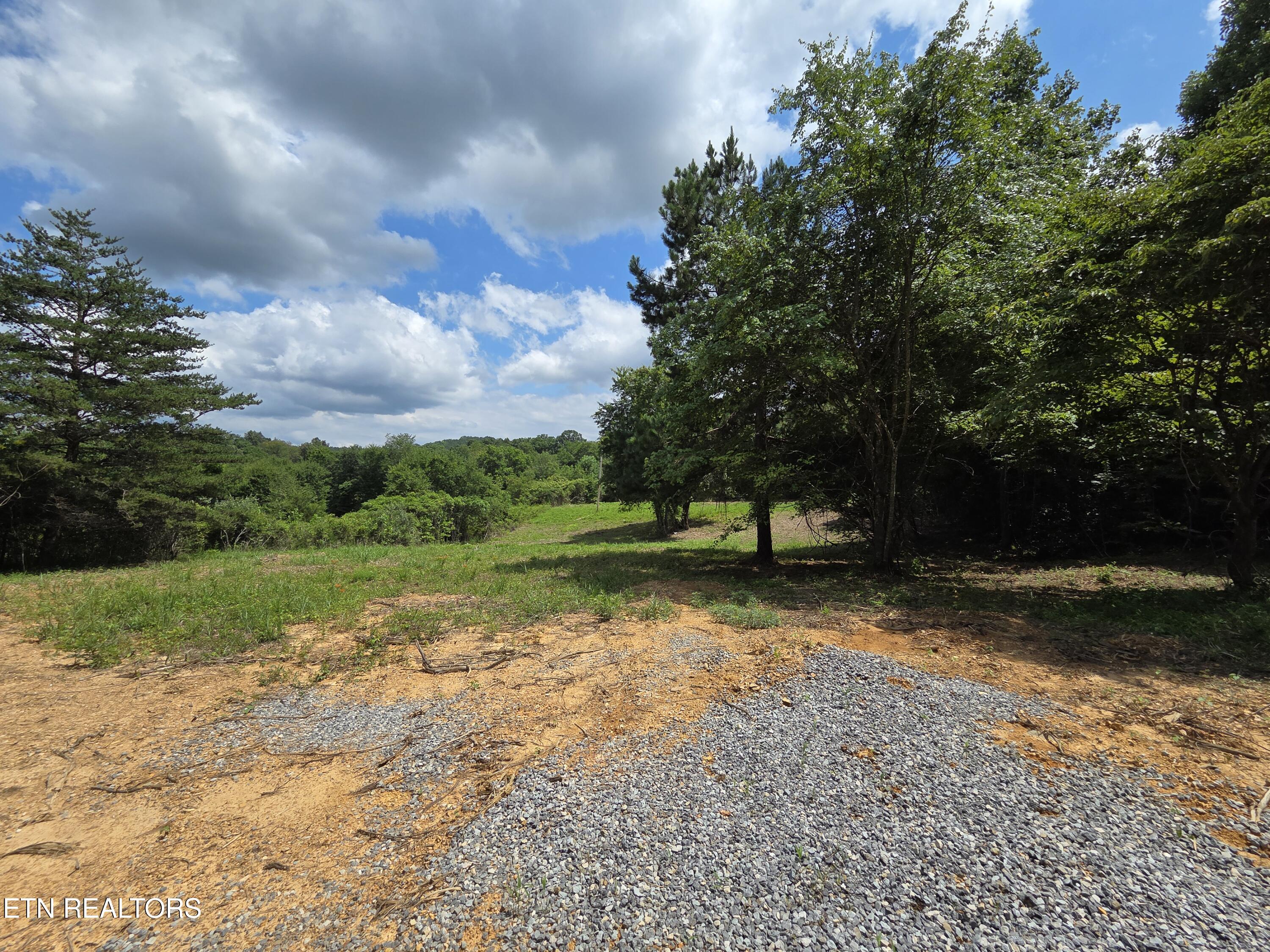 Sheep Ranch Rd Road Robbins, TN 37852 - Photo 4 of 26 20260723_150447