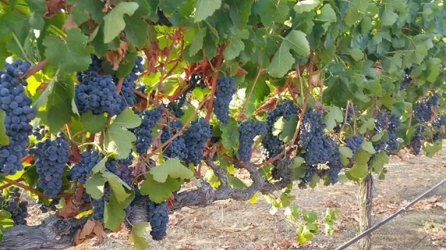 a view of a lake with a house