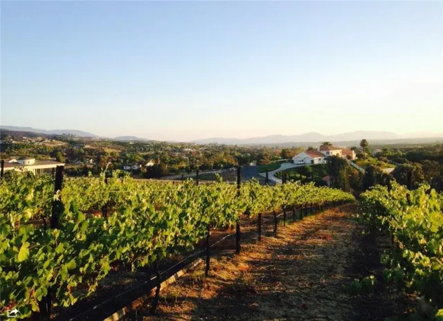 an aerial view of residential house with ocean view