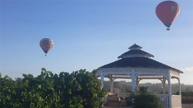 a vase of flowers sitting on a table in front of a door