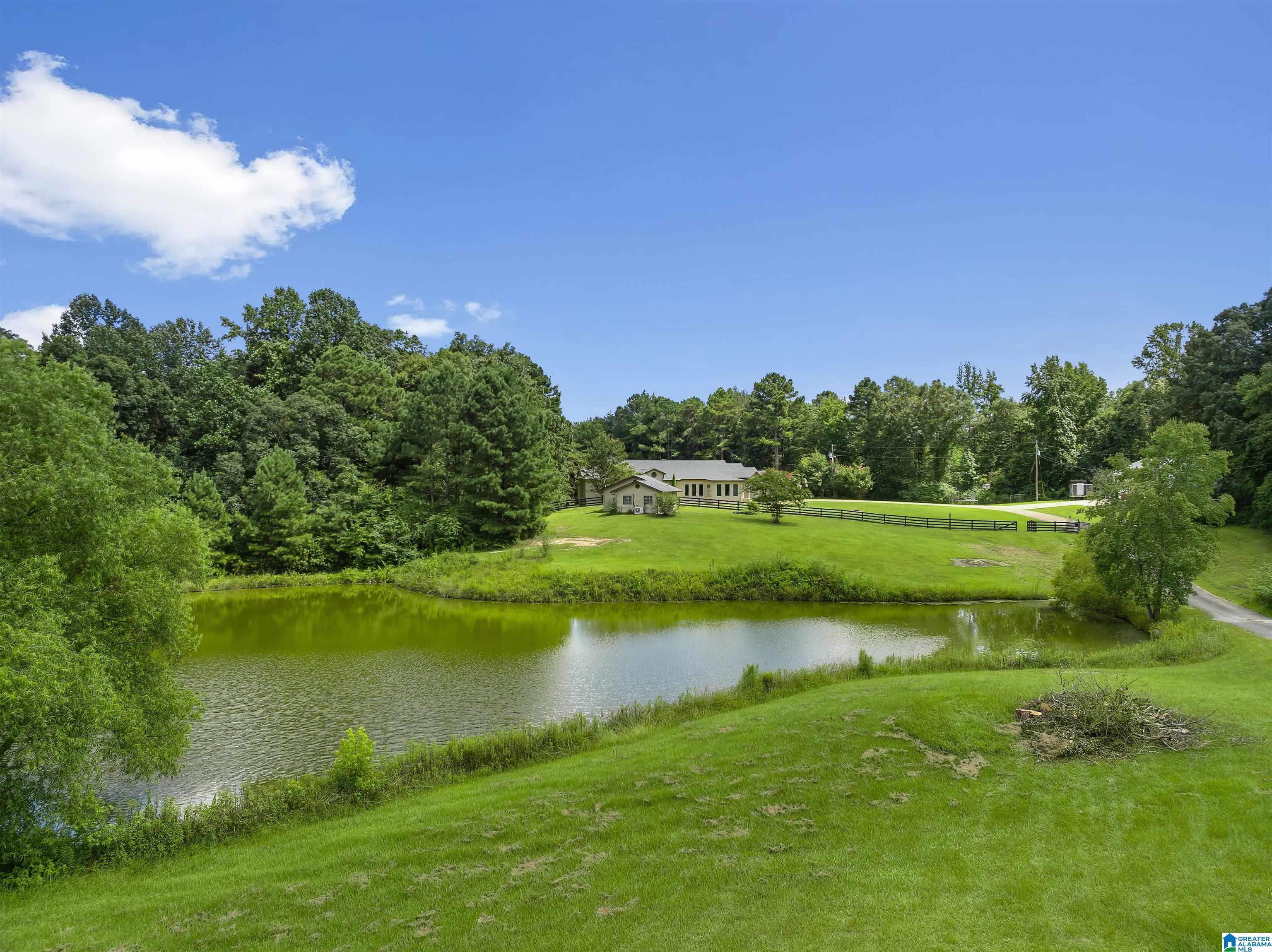 2877 Lamon Chapel Road Jasper, AL 35503 - Photo 47 of 55 Gallery Image 47