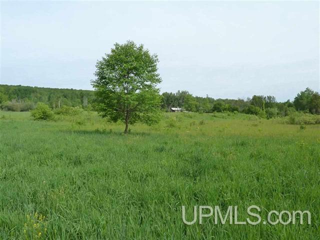39502 Lower Worham Road Chassell, MI 49916 - Photo 7 of 11