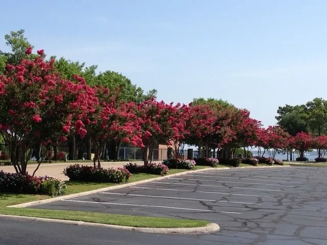 a view of street with houses