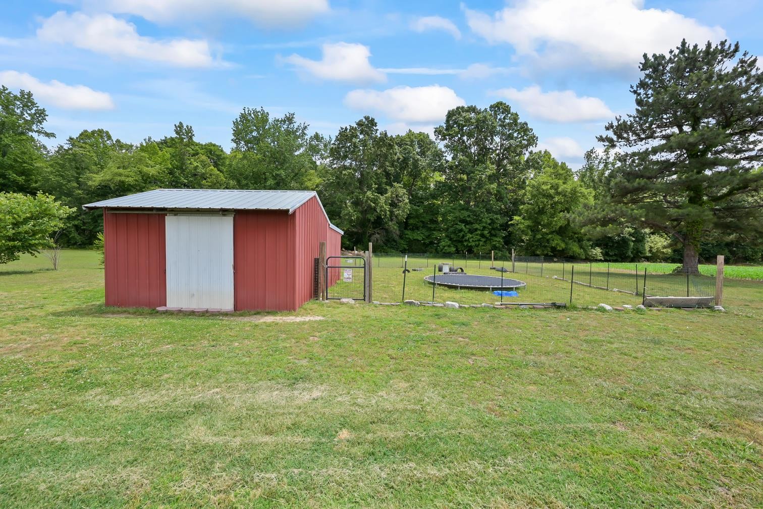 6439 Cedar Grove Road Big Sandy, TN 38221 - Photo 26 of 38 a fire hydrant in the middle of a field