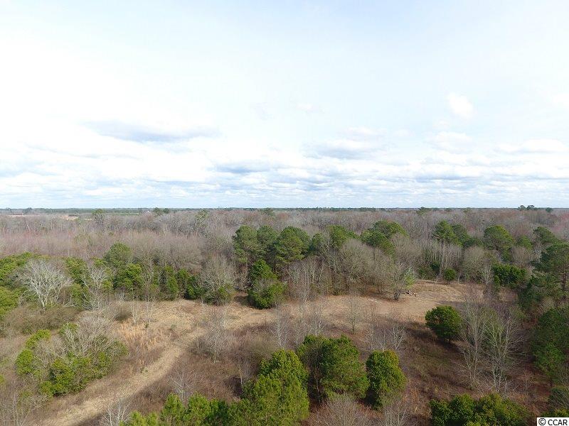 221 Alma Road Maxton, NC 28364 - Photo 5 of 15 Gallery Image 5