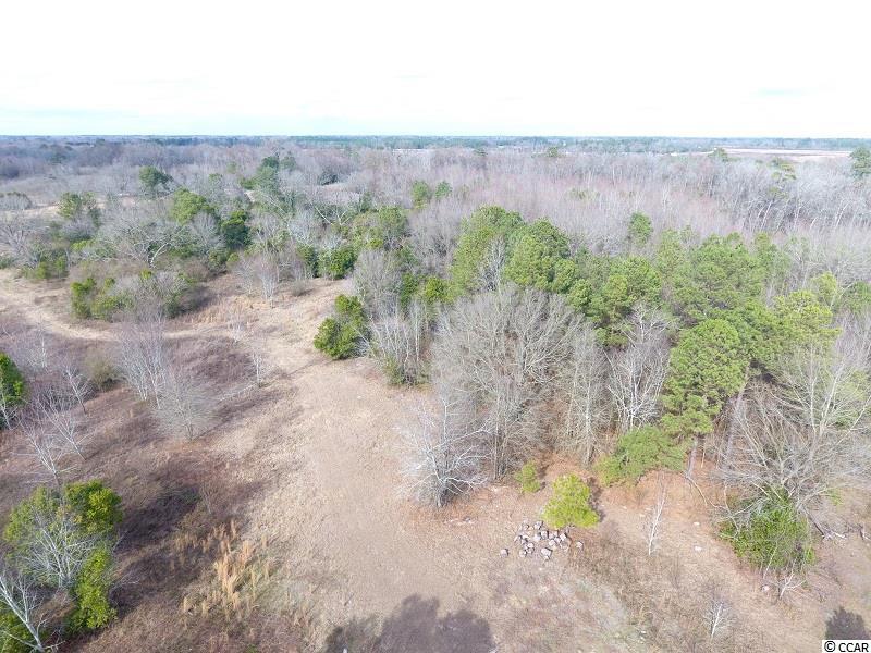 221 Alma Road Maxton, NC 28364 - Photo 10 of 15 Gallery Image 10