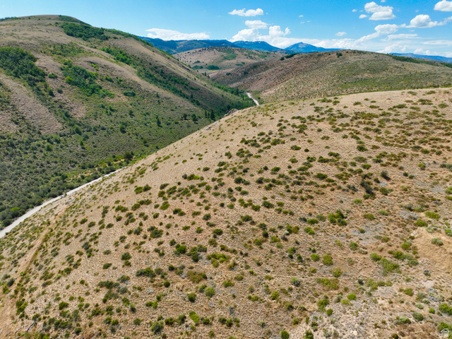 160 Dry Canyon St. Charles, ID 83272 - Photo 46 of 63 Expansive mountainous terrain featuring natural vegetation, visible slopes, and a distant winding road