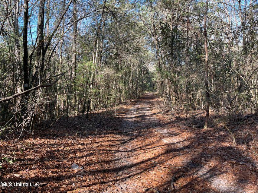 Sand Ridge Road McLain, MS 39456 - Photo 1 of 1 ATV Trail