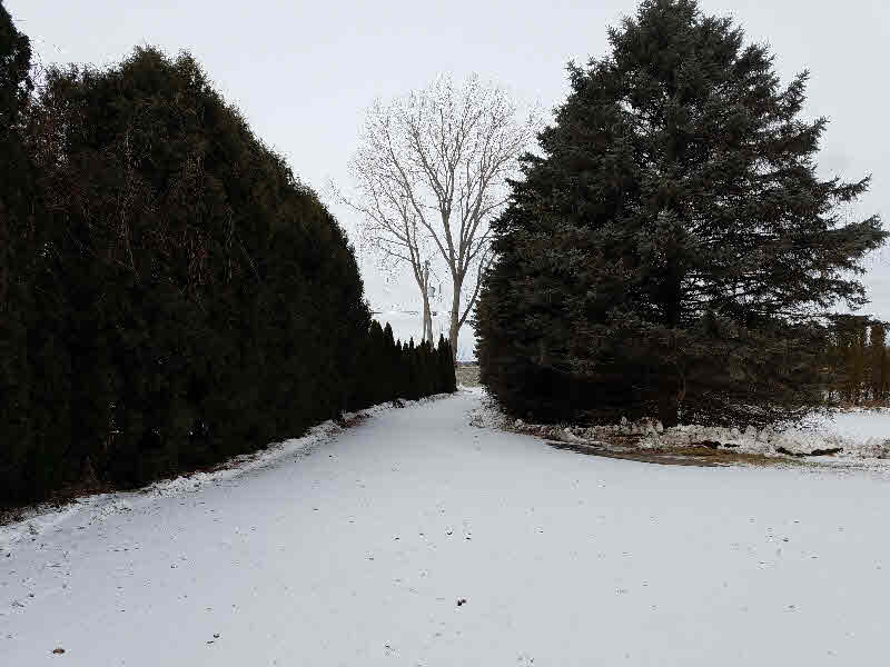 1552 East Anderson Road Linwood, MI 48634 - Photo 31 of 31