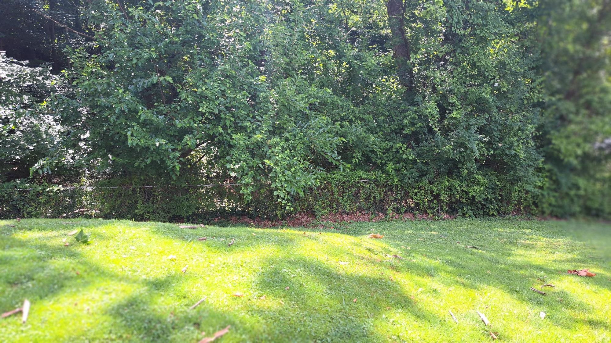 815 Wheatley Road Ashland, KY 41101 - Photo 31 of 33 Gallery Image 31