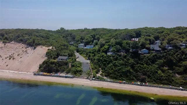 an aerial view of residential houses with outdoor space and trees