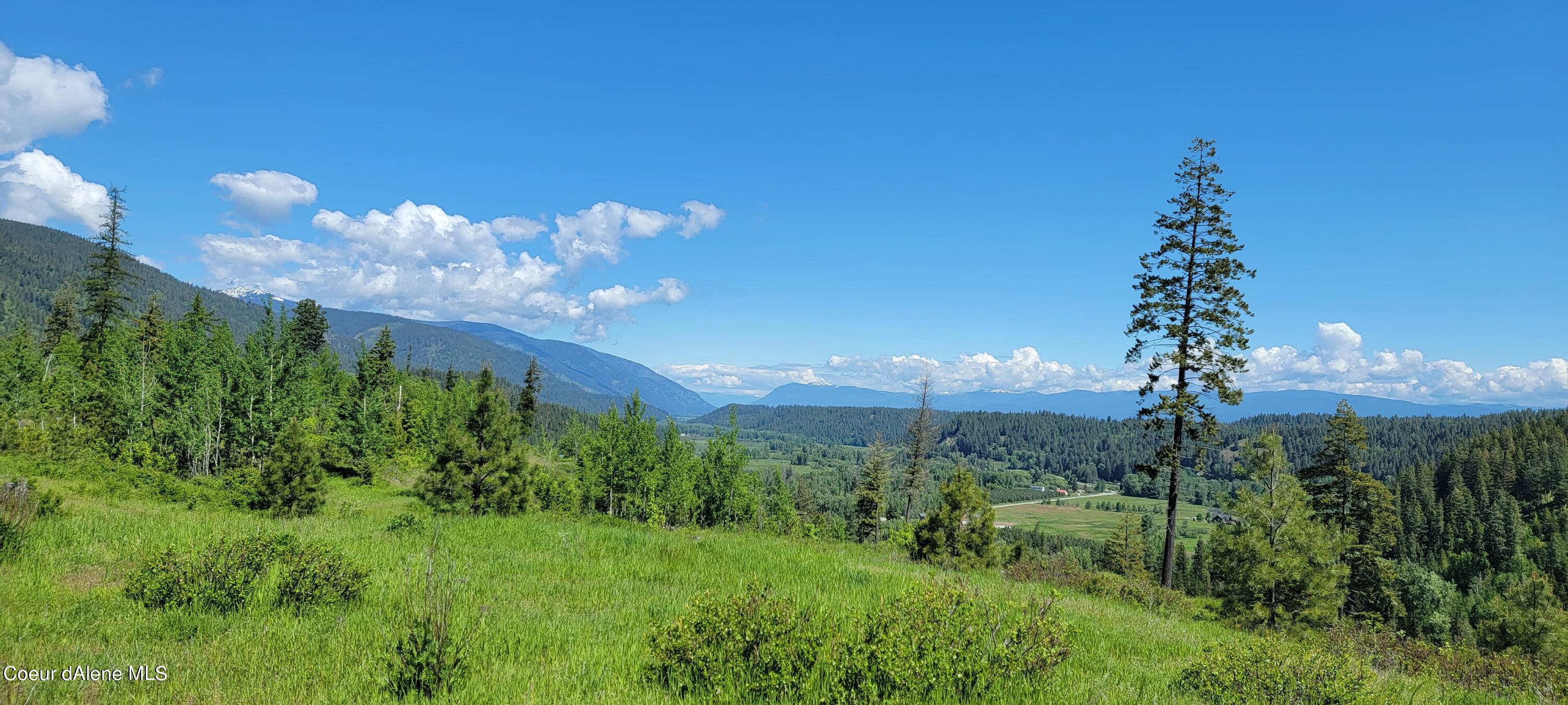 6 Bonners Ferry Naples, ID 83847 - Photo 12 of 22 20220607_105309