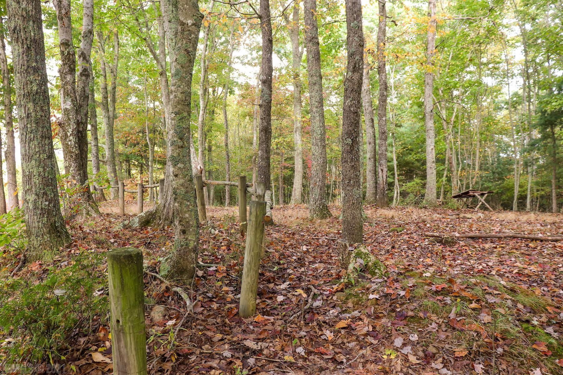 344 Rivendell Road Northwest Willis, VA 24380 - Photo 26 of 29 Gallery Image 26
