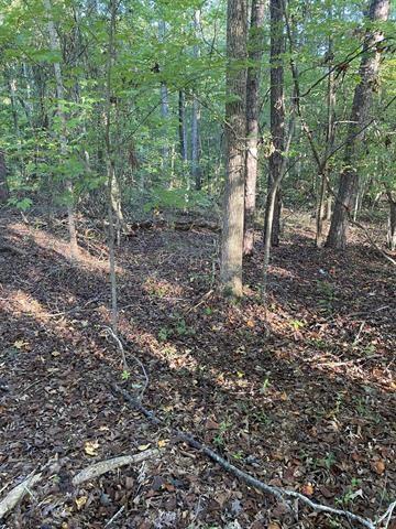 0 Mudbridge Road Buffalo, SC 29321 - Photo 1 of 1