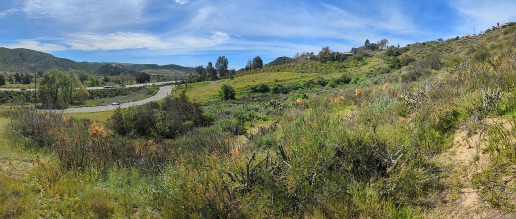 4216 Pala Road Fallbrook, CA 92028 - Photo 5 of 6 From east side of lot