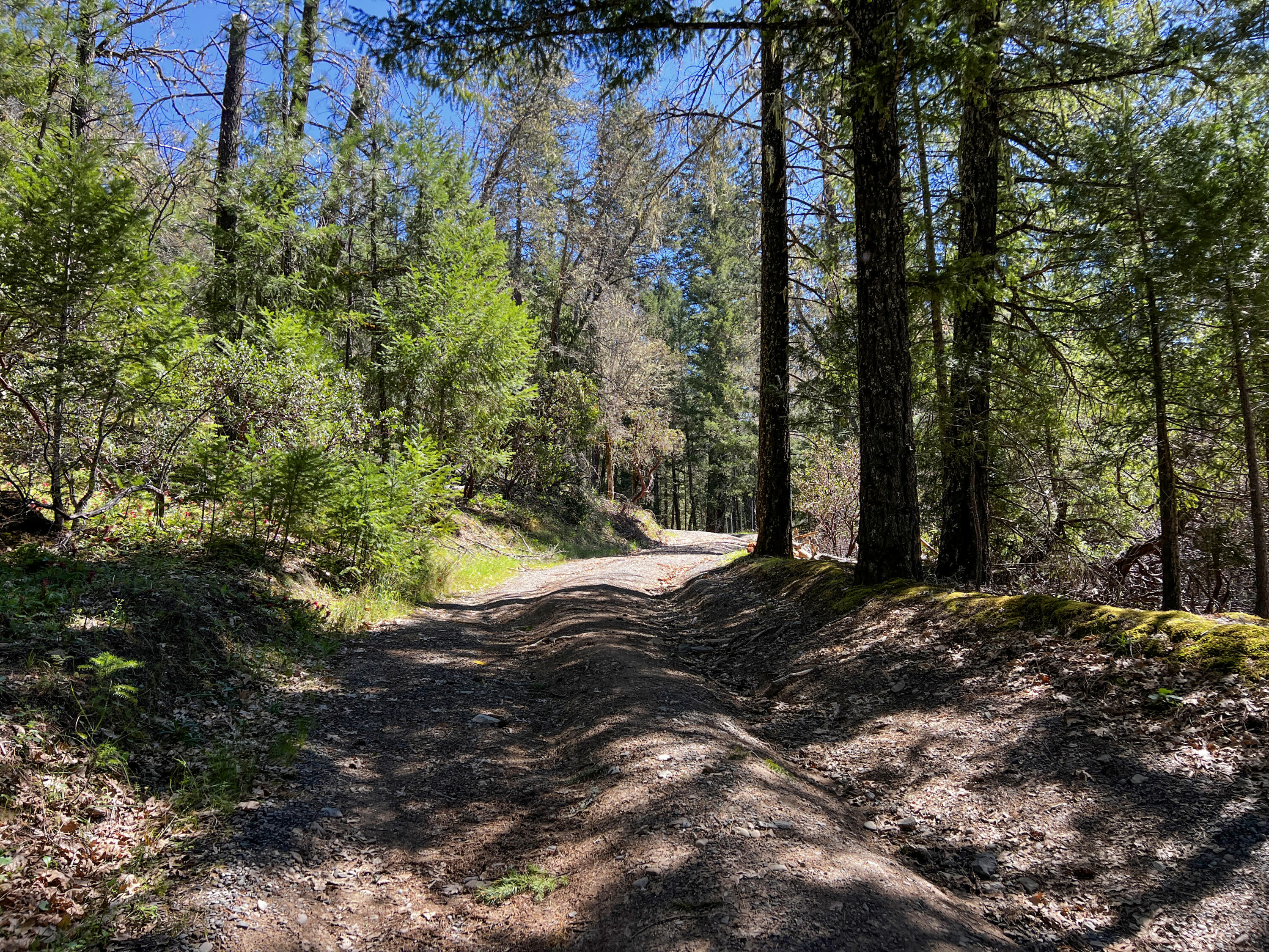 210 Mad River Road Mad River, CA 95552 - Photo 4 of 70