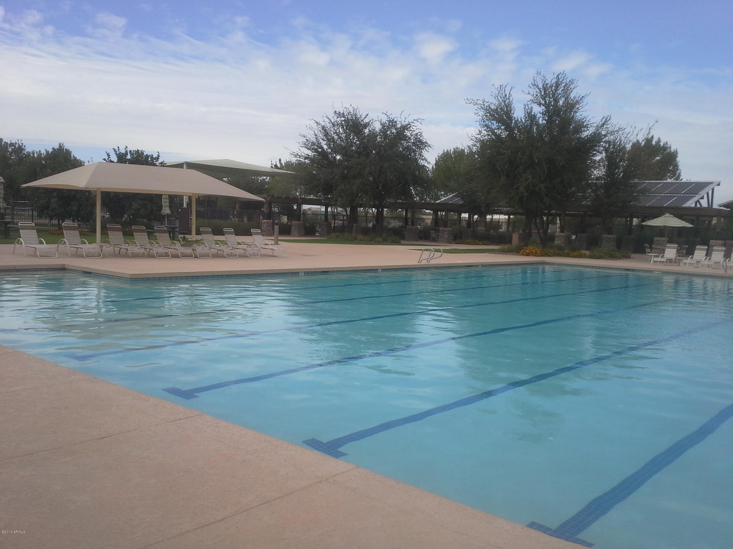 3869 East Timberline Road Gilbert, AZ 85297 - Photo 4 of 36 Community Pool1