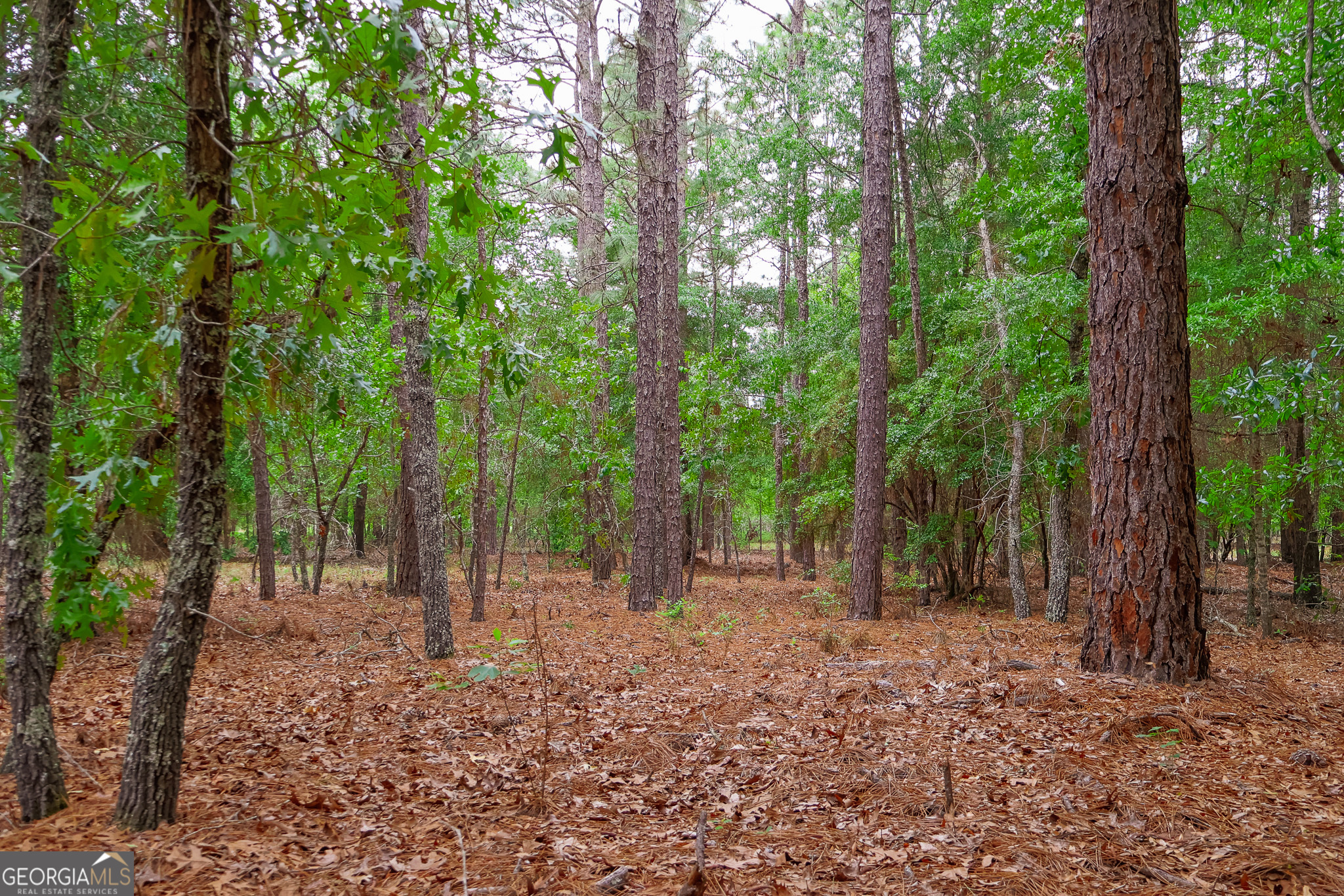 0 Chance Road Girard, GA 30426 - Photo 13 of 26 a view of outdoor space and green space