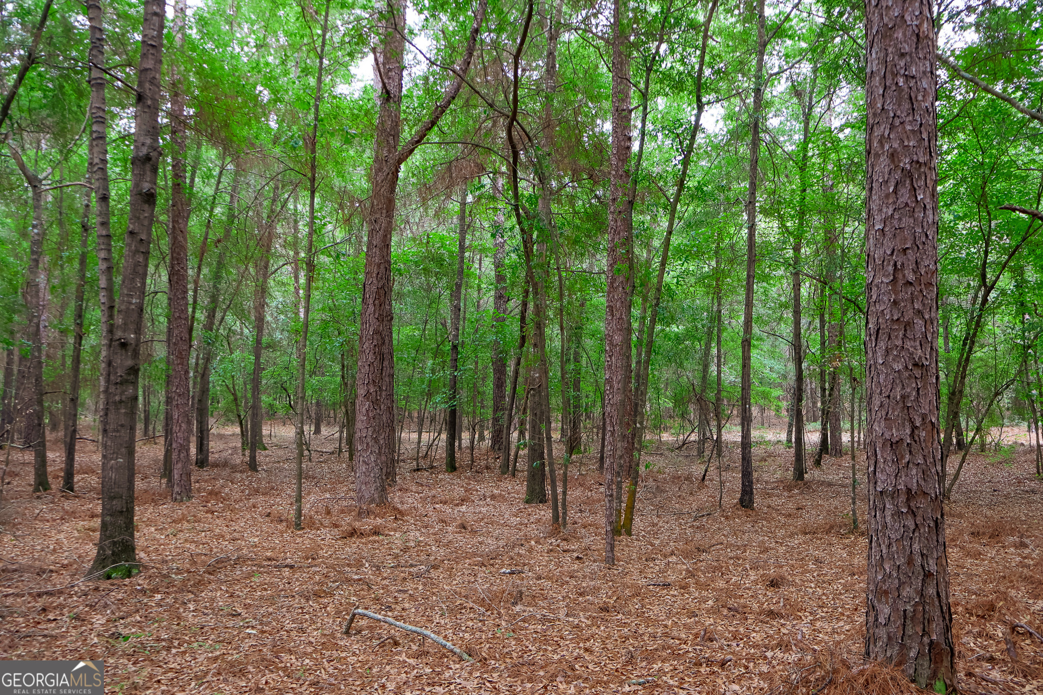 0 Chance Road Girard, GA 30426 - Photo 19 of 26 a view of outdoor space and green space
