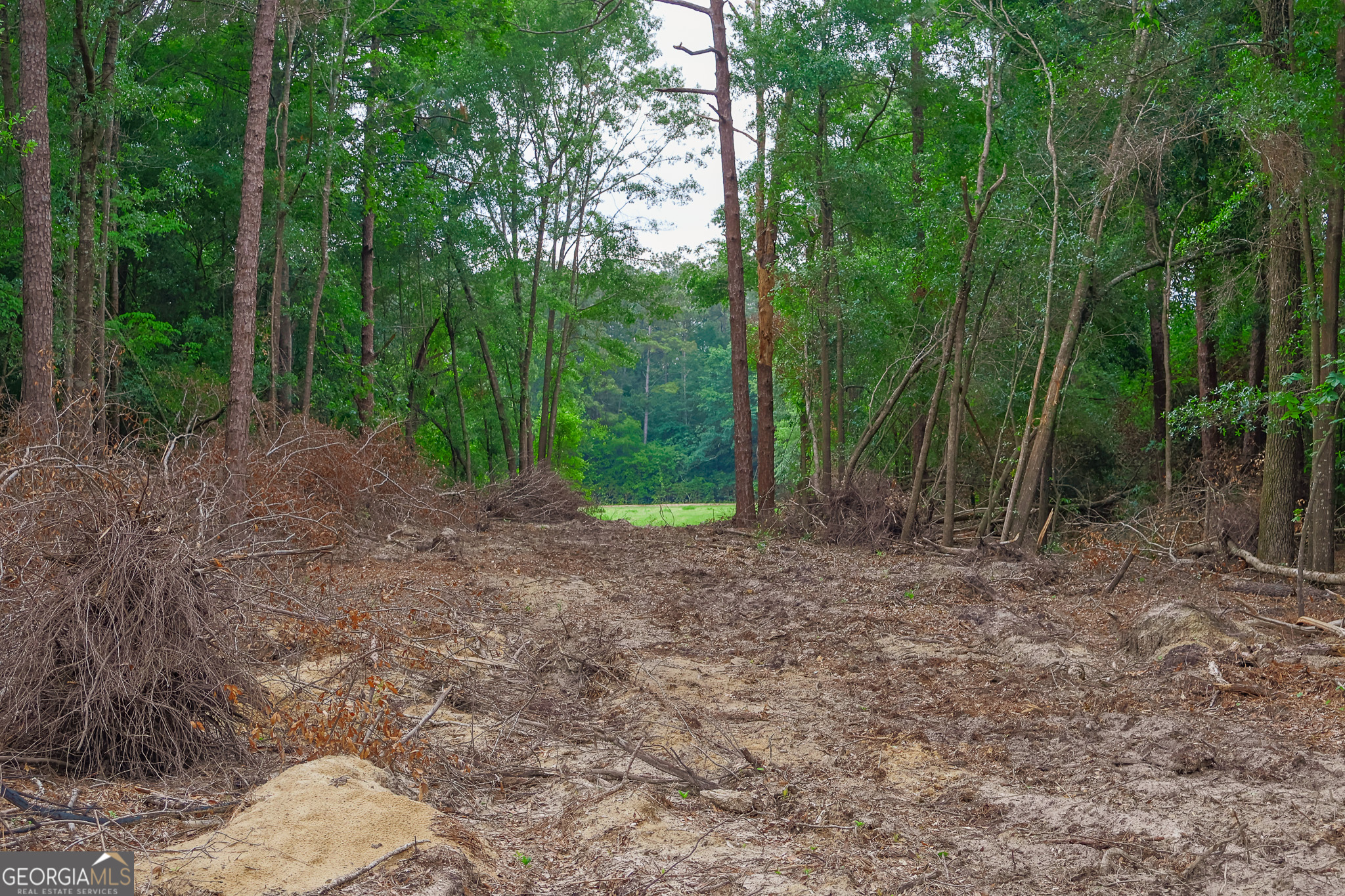 0 Chance Road Girard, GA 30426 - Photo 24 of 26 a view of a forest with trees in the background