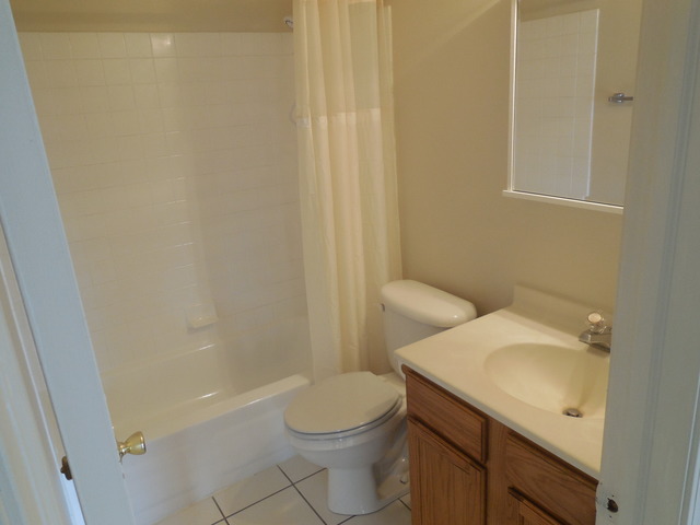 2100 Light Road, Unit 207 Oswego, IL 60543 - Photo 12 of 14 a bathroom with a sink a toilet and shower