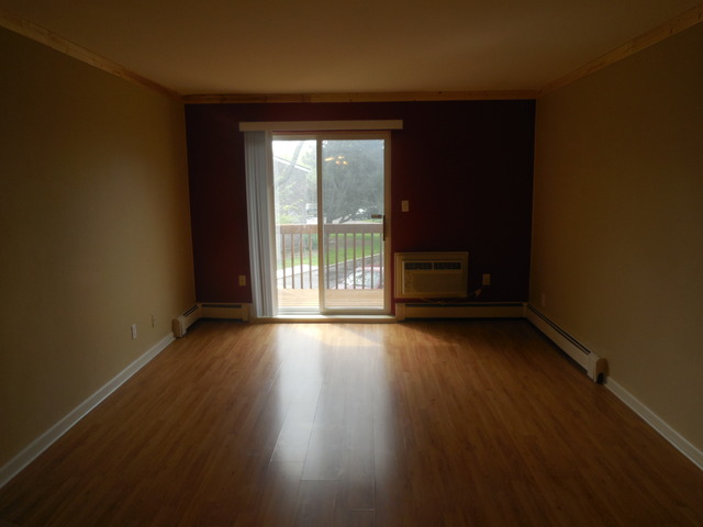 2100 Light Road, Unit 207 Oswego, IL 60543 - Photo 3 of 14 an empty room with wooden floor and windows