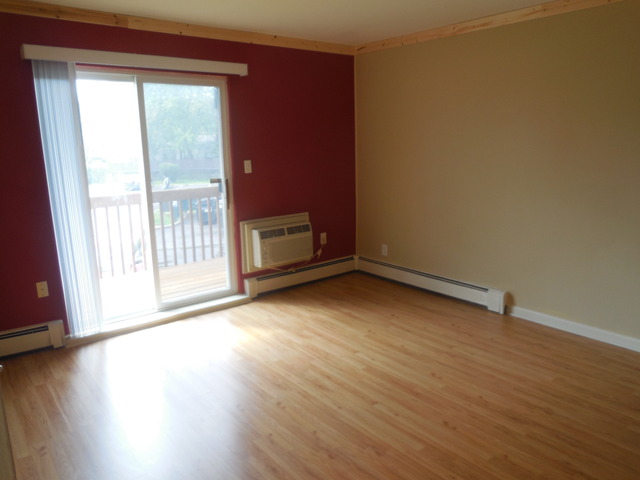 2100 Light Road, Unit 207 Oswego, IL 60543 - Photo 4 of 14 an empty room with wooden floor and windows