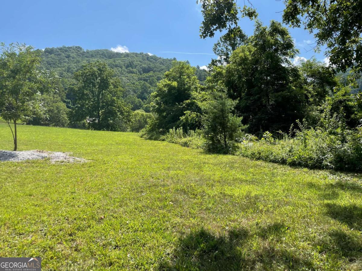0 Mountain Ridge Drive Rabun Gap, GA 30568 - Photo 6 of 10