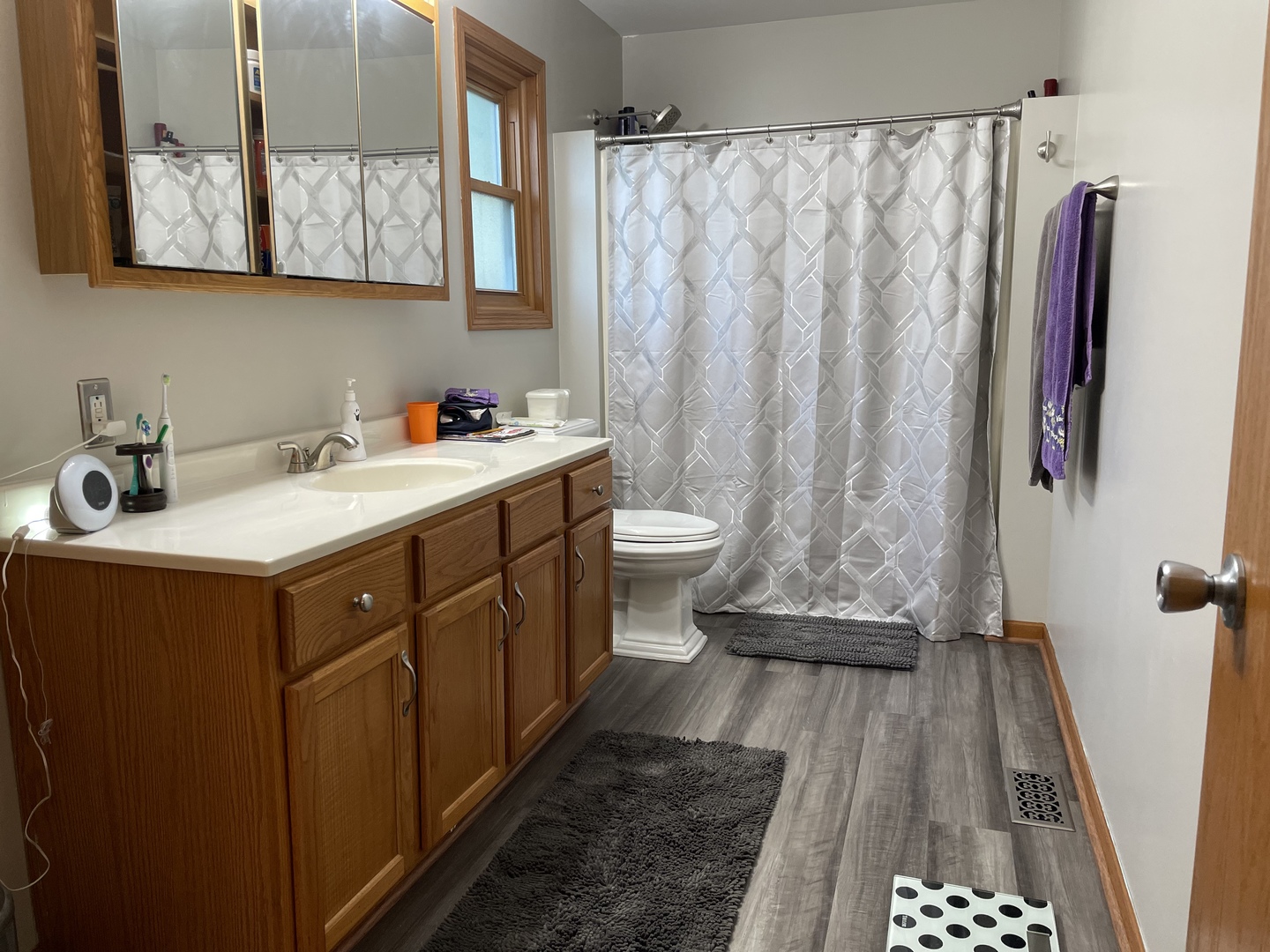 33582 North State Road Genoa, IL 60135 - Photo 11 of 21 a bathroom with a sink a toilet and a mirror