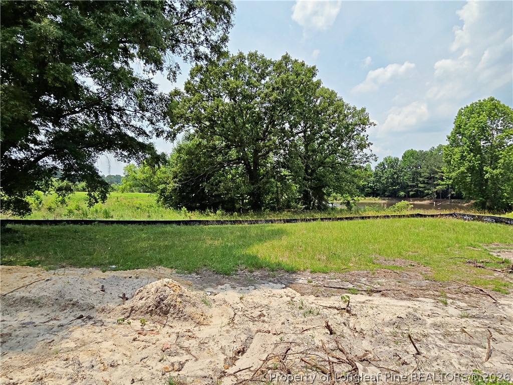 2736 Norrington Road Lillington, NC 27546 - Photo 20 of 20