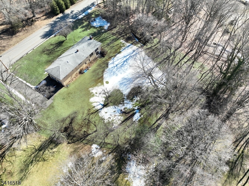 219 Haven Road Franklin Lakes, NJ 07417 - Photo 6 of 9 a view of a yard with plants and large trees