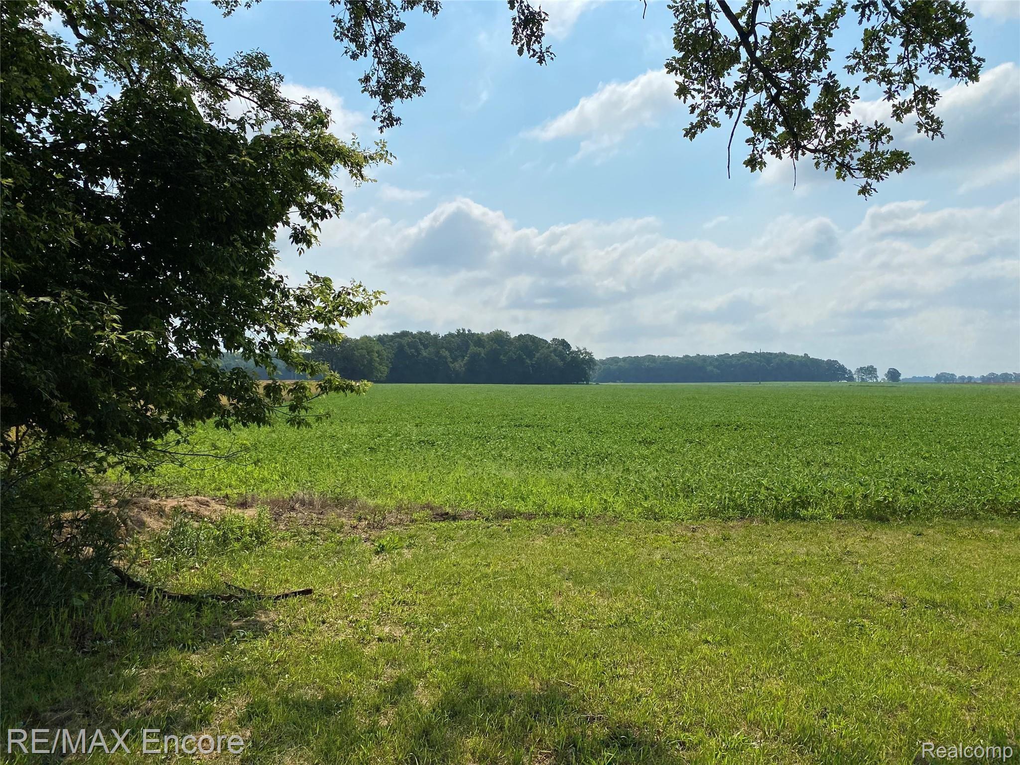 7740 Cram Road Owosso, MI 48867 - Photo 5 of 30 Beautiful surrounding