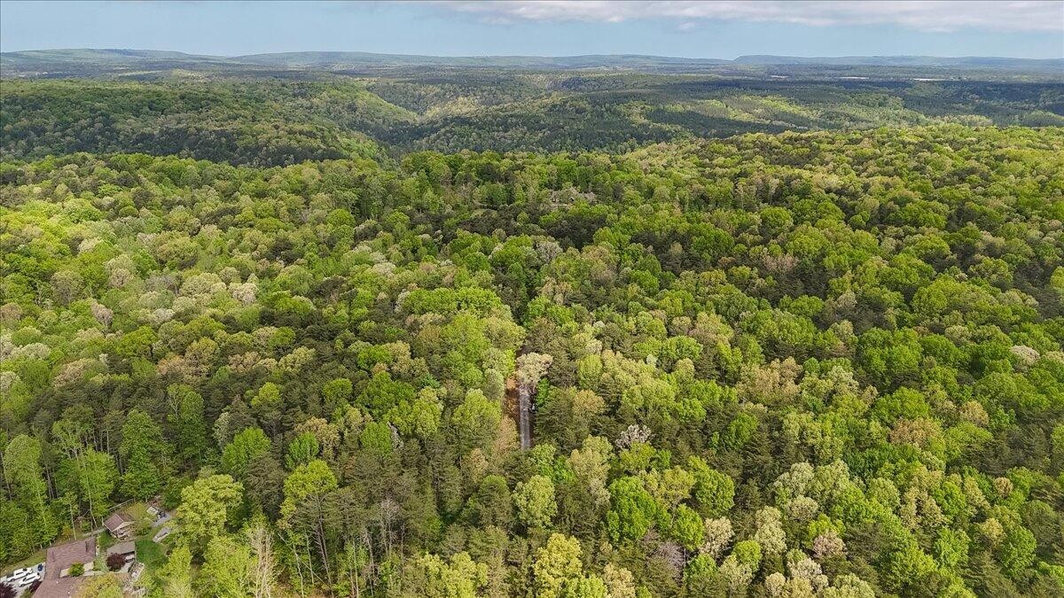 8957 Big Bend Road Signal Mountain, TN 37377 - Photo 26 of 30 Gallery Image 26