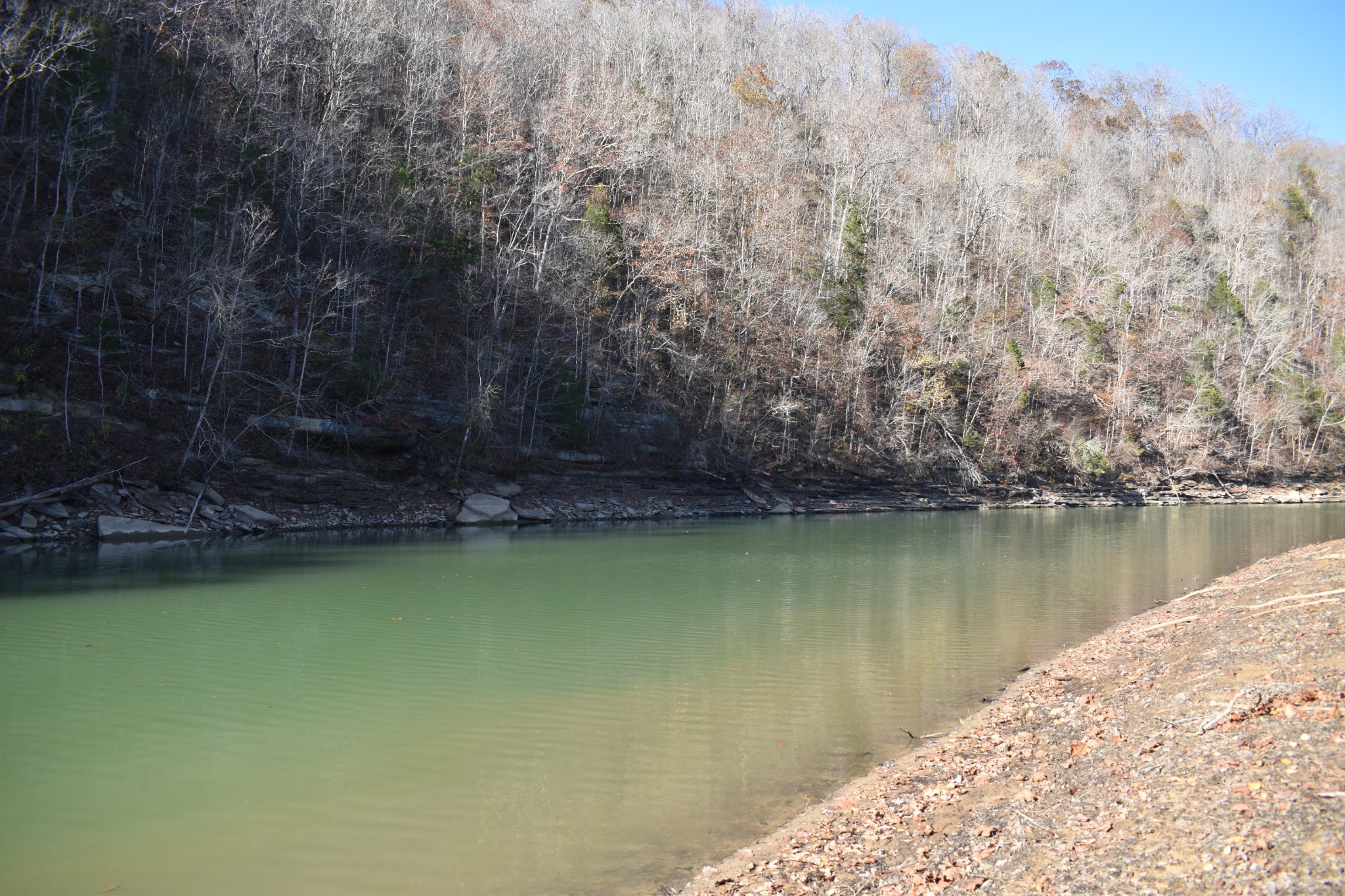 799 Edd Linder Road Jamestown, TN 38556 - Photo 26 of 29 Gallery Image 26