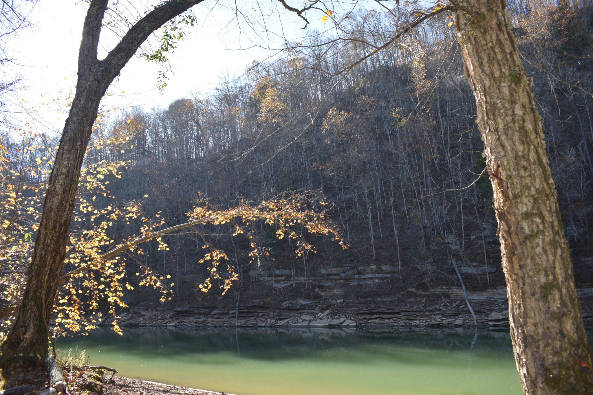 799 Edd Linder Road Jamestown, TN 38556 - Photo 29 of 29 Gallery Image 29