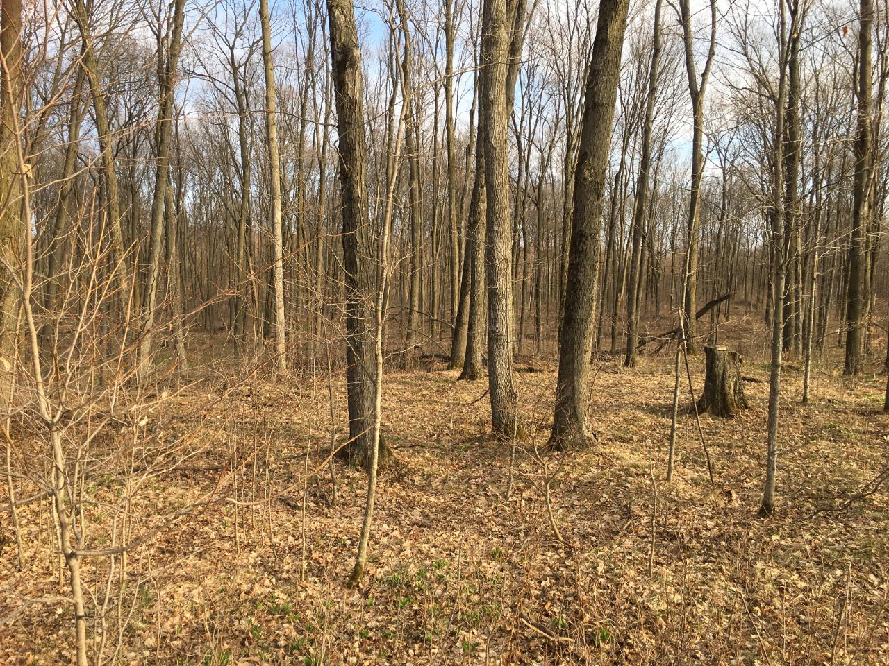 N3919 Hill Road Antigo, WI 54409 - Photo 20 of 34