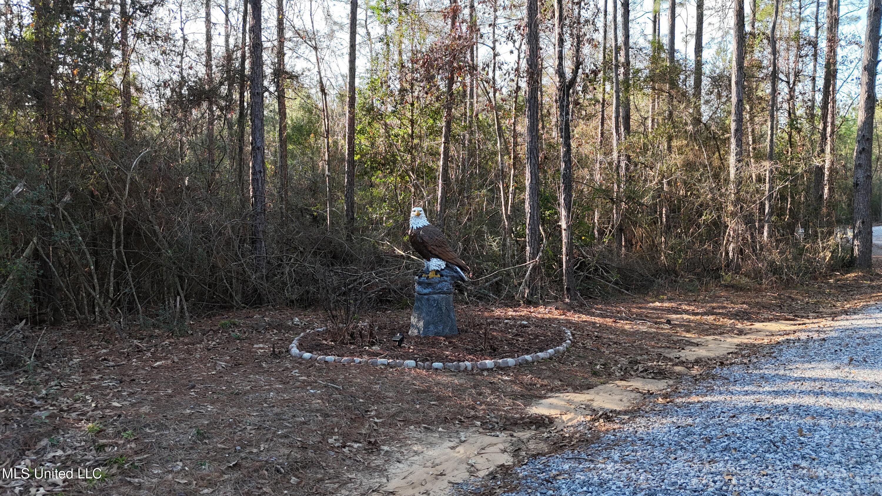 1773 Ridge Road Perkinston, MS 39573 - Photo 28 of 28 DJI_20250209160846_0125_D