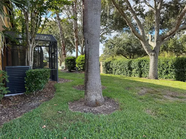 a view of a garden with large trees