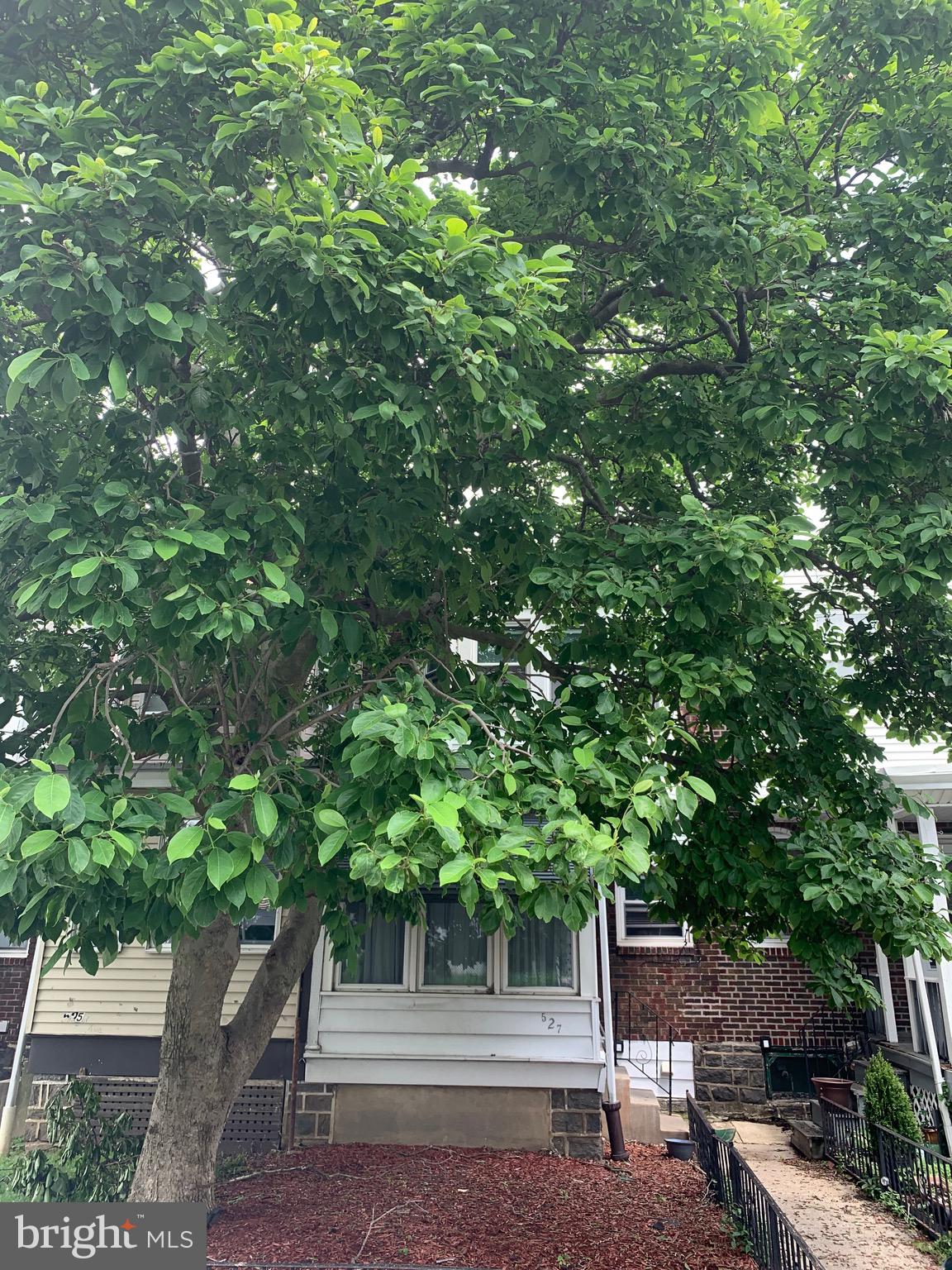 527 Woodcliffe Road Upper Darby, PA 19082 - Photo 4 of 67