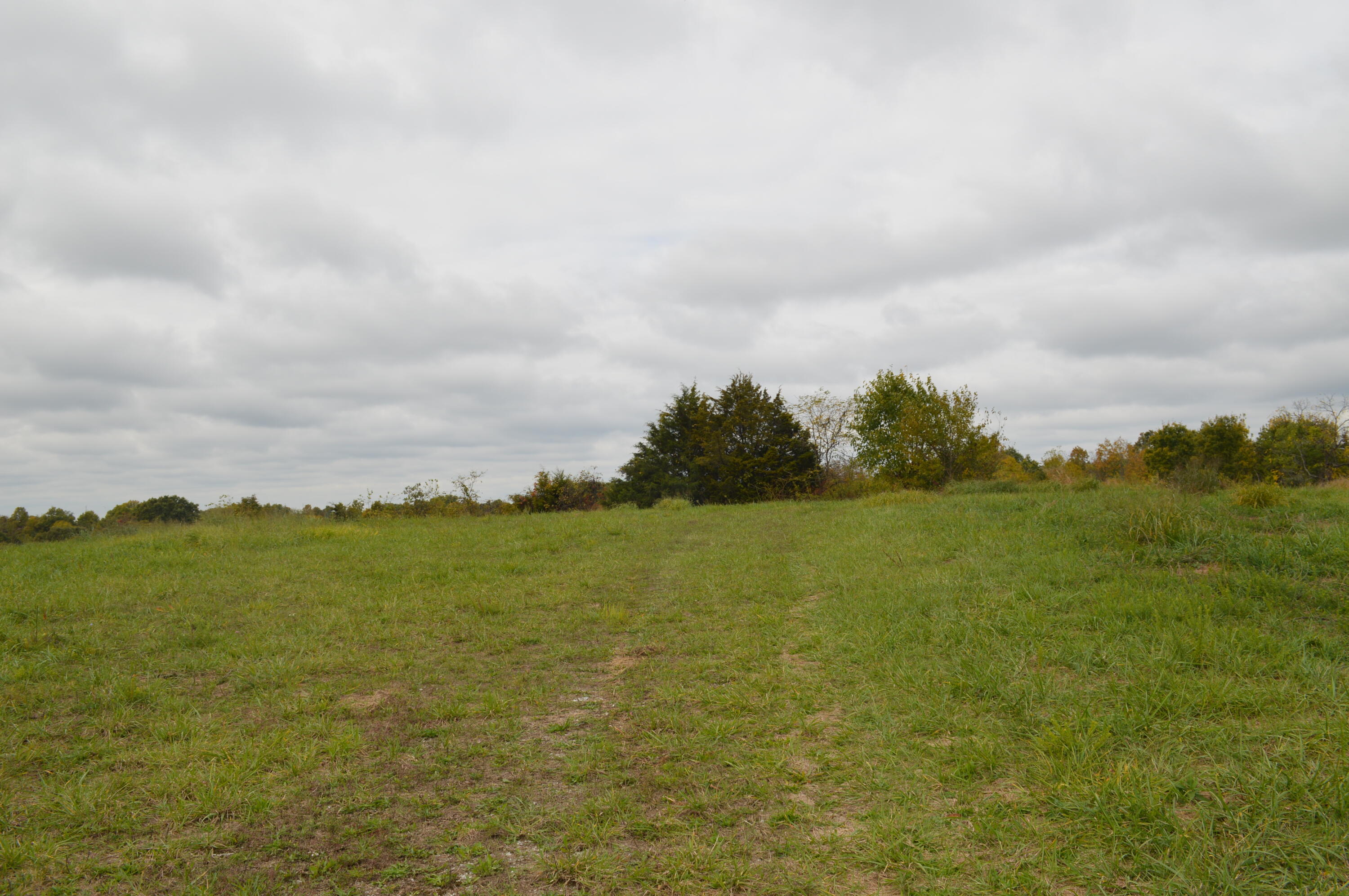 Lot #6 Georgetown Road Owenton, KY 40359 - Photo 8 of 24